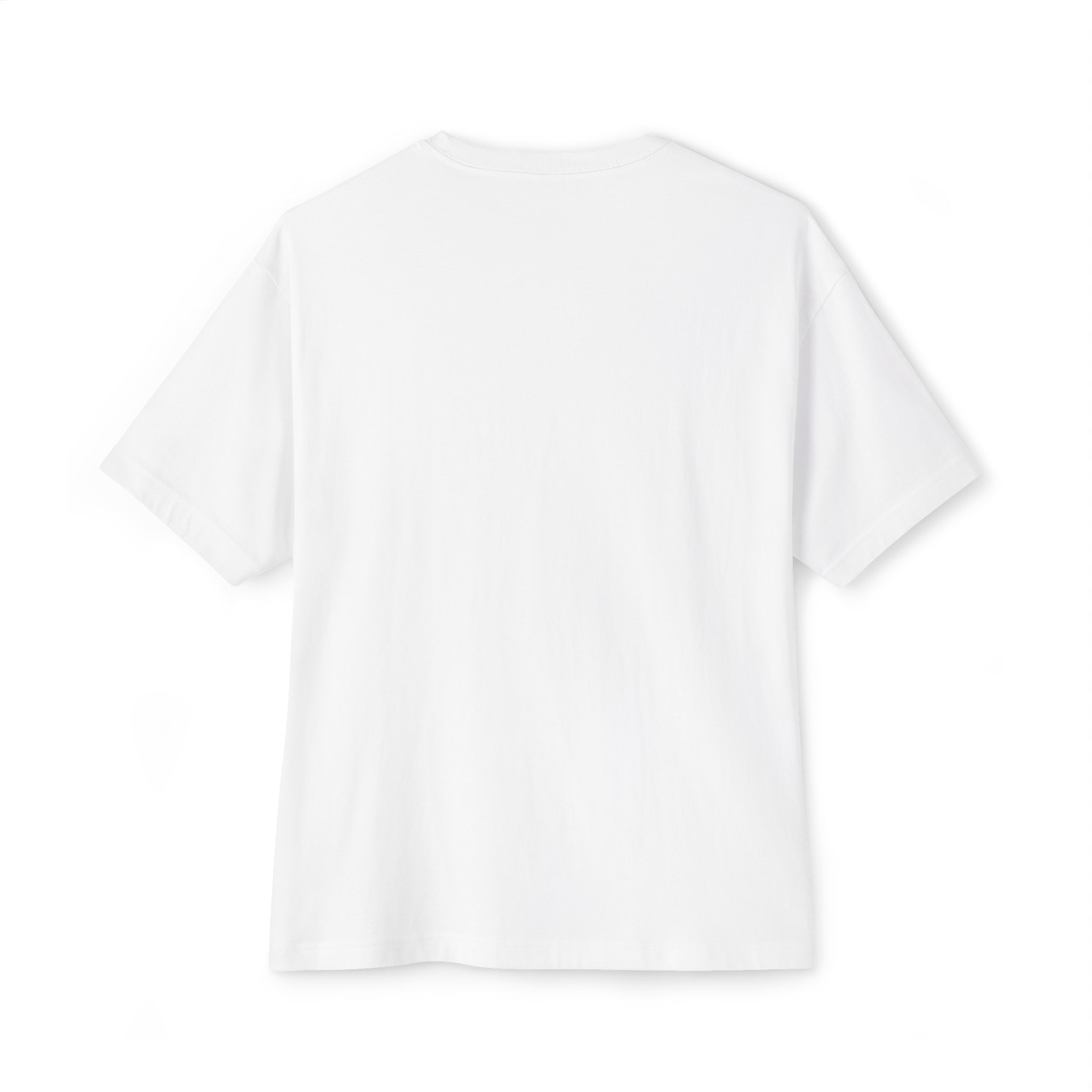 Dolphin & Friends Unisex Oversized Boxy Tee