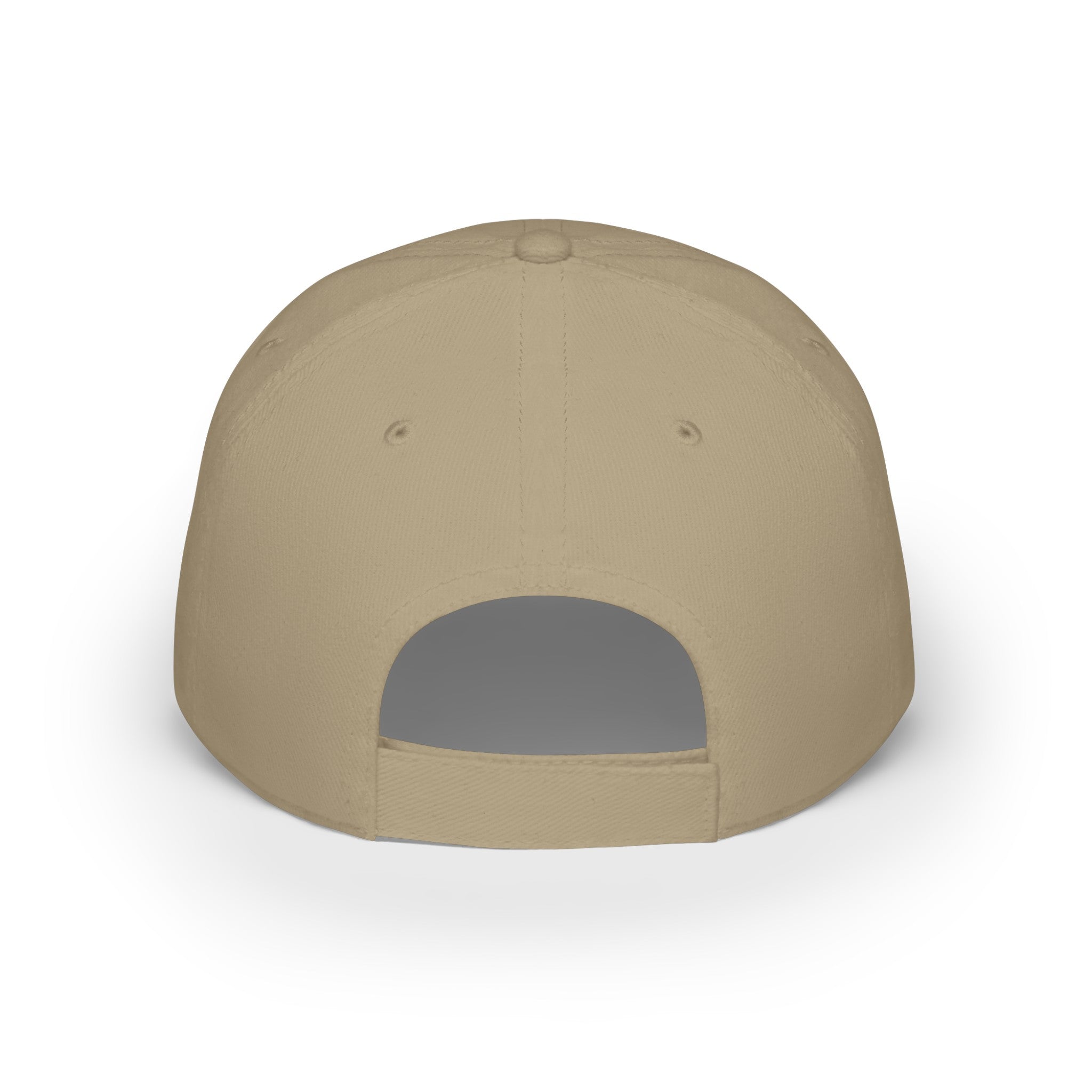 Old Dogs New Tricks - Teddy H Low Profile Baseball Cap