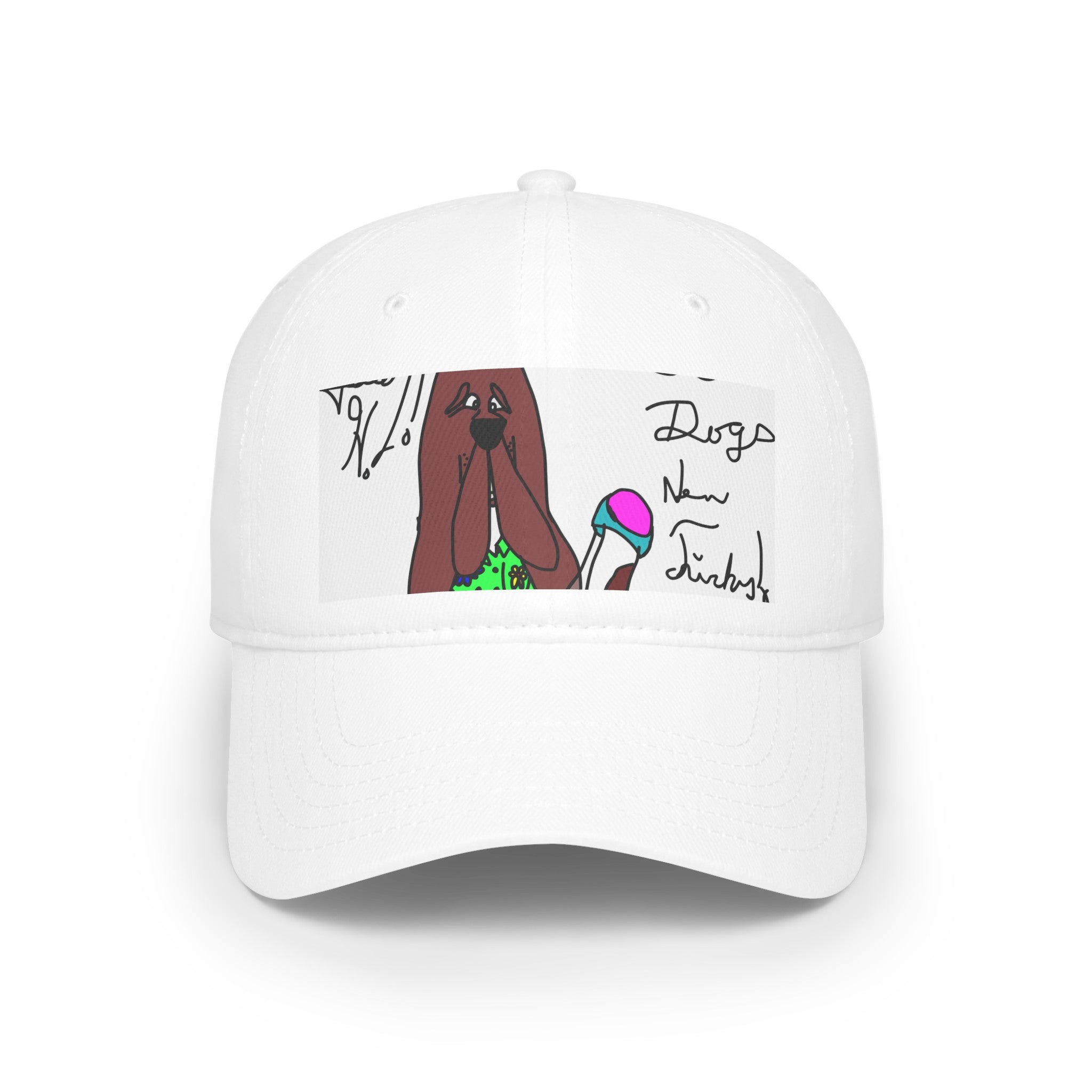 Old Dogs New Tricks - Teddy H Low Profile Baseball Cap